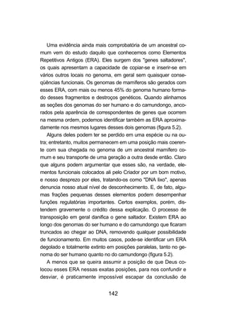 142
Uma evidência ainda mais comprobatória de um ancestral co-
mum vem do estudo daquilo que conhecemos como Elementos
Repetitivos Antigos (ERA). Eles surgem dos "genes saltadores",
os quais apresentam a capacidade de copiar-se e inserir-se em
vários outros locais no genoma, em geral sem quaisquer conse-
qüências funcionais. Os genomas de mamíferos são gerados com
esses ERA, com mais ou menos 45% do genoma humano forma-
do desses fragmentos e destroços genéticos. Quando alinhamos
as seções dos genomas do ser humano e do camundongo, anco-
rados pela aparência de correspondentes de genes que ocorrem
na mesma ordem, podemos identificar também as ERA aproxima-
damente nos mesmos lugares desses dois genomas (figura 5.2).
Alguns deles podem ter se perdido em uma espécie ou na ou-
tra; entretanto, muitos permanecem em uma posição mais coeren-
te com sua chegada no genoma de um ancestral mamífero co-
mum e seu transporte de uma geração a outra desde então. Claro
que alguns podem argumentar que esses são, na verdade, ele-
mentos funcionais colocados ali pelo Criador por um bom motivo,
e nosso desprezo por eles, tratando-os como "DNA lixo", apenas
denuncia nosso atual nível de desconhecimento. E, de fato, algu-
mas frações pequenas desses elementos podem desempenhar
funções regulatórias importantes. Certos exemplos, porém, dis-
tendem gravemente o crédito dessa explicação. O processo de
transposição em geral danifica o gene saltador. Existem ERA ao
longo dos genomas do ser humano e do camundongo que ficaram
truncados ao chegar ao DNA, removendo qualquer possibilidade
de funcionamento. Em muitos casos, pode-se identificar um ERA
degolado e totalmente extinto em posições paralelas, tanto no ge-
noma do ser humano quanto no do camundongo (figura 5.2).
A menos que se queira assumir a posição de que Deus co-
locou esses ERA nessas exatas posições, para nos confundir e
desviar, é praticamente impossível escapar da conclusão de
 