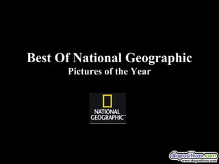 Best Of National Geographic
      Pictures of the Year
 