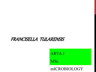 FRANCISELLA TULARENSIS
ARYA J
MSc
mICROBIOLOGY
 