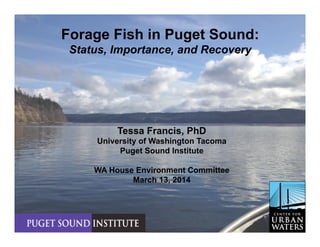 Tessa Francis, PhD
University of Washington Tacoma
Puget Sound Institute
WA House Environment Committee
March 13, 2014
Forage Fish in Puget Sound:
Status, Importance, and Recovery
 