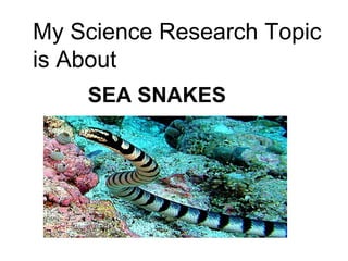 SEA SNAKES
My Science Research Topic
is About
 