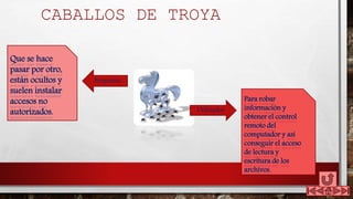 CABALLOS DE TROYA
Que se hace
pasar por otro,
están ocultos y
suelen instalar
accesos no
autorizados.
Para robar
información y
obtener el control
remoto del
computador y así
conseguir el acceso
de lectura y
escritura de los
archivos.
Programa
Utilizados
 