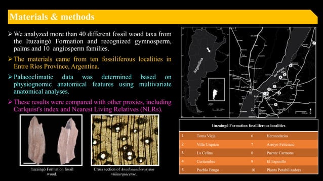 Title Miocene? paleoenvironments of Ituzaingó Formation (northeast