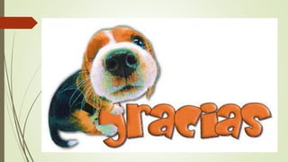 Franco garcia trabajo de informatica