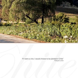 Chile”If I were a vine, I would choose to be planted in Chile“
François Lurton
 