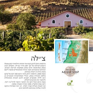 C‫שפעלו‬ ‫בזמן‬ "‫החלומות‬ ‫"אחוזת‬ ‫את‬ ‫הקימו‬ ‫לורטון‬ ‫וז'אק‬ ‫פרנסואה‬
‫היציב‬ ‫האקלים‬ .‫בצ'ילה‬ "‫פדרו‬ ‫"סאן‬ ‫יקב‬ ‫של‬ ‫לכרמים‬ ‫כיועצים‬
.‫הגפנים‬ ‫לבריאות‬ ‫משמעותי‬ ‫באופן‬ ‫תורם‬ ‫קולצ'אגואה‬ ‫בעמק‬
‫ליישם‬ ‫אפשרו‬ ‫האופטימליים‬ ‫הגידול‬ ‫ותנאי‬ ‫הגיאוגרפים‬ ‫הגורמים‬
.‫בכרמים‬ ‫דינמית‬ ‫ביו‬ ‫גידול‬ ‫שיטת‬
‫קרקע‬ ‫של‬ ‫דונם‬ 200 ‫ורכשו‬ ‫איתרו‬ ‫וז'אק‬ ‫פרנסאוה‬ ,2000 ‫בשנת‬
‫בין‬ ‫הקיצוניים‬ ‫הטמפרטורות‬ ‫הבדלי‬ .‫בעמק‬ ‫מובחרת‬ ‫בחלקה‬
‫אופטימלית‬ ‫לבגרות‬ ‫להגיע‬ ‫לענבים‬ ‫מאפשרים‬ ‫ללילה‬ ‫היום‬
.‫להפליא‬ ‫מורכבים‬ ‫יינות‬ ‫ולהפקת‬
.‫דינמי‬ ‫ביו‬ ‫לגידול‬ ‫הרשמי‬ ‫האישור‬ ‫את‬ ‫היקב‬ ‫קיבל‬ 2013 ‫בשנת‬
.)‫(שמש‬ ‫טבעית‬ ‫אנרגיה‬ 100% ‫ב‬ ‫מופעל‬ ‫עצמו‬ ‫היקב‬
‫ארוקנו‬ ‫האסיינדה‬ ‫יינות‬ ‫זכו‬ ,‫יחסית‬ ‫קצרה‬ ‫פעילות‬ ‫תקופת‬ ‫תוך‬
.‫רבים‬ ‫ולפרסים‬ ‫באיכותם‬ ‫עולמית‬ ‫להכרה‬
‫צ׳ילה‬
 