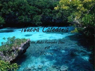 Nueva Caledonia
  Laisa Malco Fernandes Diana
              4ºA
          CT211182
 