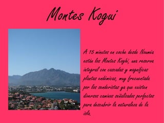 Montes Kogui
      A 15 minutos en coche desde Nouméa
      están los Montes Koghi, una reserva
      integral con cascadas y magníficas
      plantas endémicas, muy frecuentada
      por los senderistas ya que existen
      diversos caminos señalizados perfectos
      para descubrir la naturaleza de la
      isla.
 