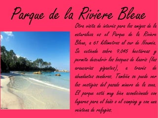 Parque de la Riviere Bleue
            Otra visita de interés para los amigos de la
            naturaleza es el Parque de la Riviere
            Bleue, a 61 kilómetros al sur de Nouméa.
            Se extiende sobre 9.045 hectáreas y
            permite descubrir los bosques de kaoris (las
            araucarias gigantes), a través de
            abundantes senderos. También se puede ver
            los vestigios del pasado minero de la zona.
            El parque está muy bien acondicionado con
            lugares para el baño o el camping y con una
            veintena de refugios.
 