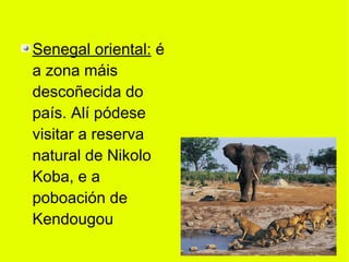 Senegal oriental: é
a zona máis
descoñecida do
país. Alí pódese
visitar a reserva
natural de Nikolo
Koba, e a
poboación de
Kendougou
 