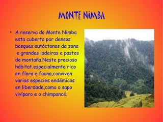 MONTE NIMBA
●
    A reserva do Monte Nimba
    esta cuberta por densos
    bosques autóctonos da zona
     e grandes ladeiras e pastos
    de montaña.Neste precioso
    hábitat,especialmente rico
    en flora e fauna,conviven
    varias especies endémicas
    en liberdade,como o sapo
    vivíparo e o chimpancé.
 