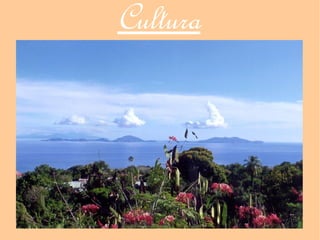 Cultura
 