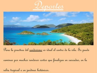 Deportes


Para la practica del senderismo es ideal el centro de la isla. Se puede

caminar por muchos senderos cortos que finalizan en cascadas, en la

selva tropical o en jardines botánicos.
 
