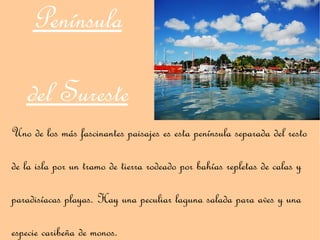 Península

   del Sureste
Uno de los más fascinantes paisajes es esta península separada del resto

de la isla por un tramo de tierra rodeado por bahías repletas de calas y

paradisíacas playas. Hay una peculiar laguna salada para aves y una

especie caribeña de monos.
 