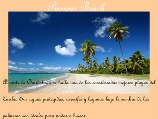 Pinneys Beach




Al norte de Charlestown se halla una de las consideradas mejores playas del

Caribe. Sus aguas protegidas, arrecifes y lagunas bajo la sombra de las

palmeras son ideales para nadar o bucear.
 