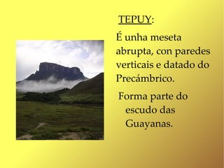 TEPUY:
É unha meseta
abrupta, con paredes
verticais e datado do
Precámbrico.
Forma parte do
 escudo das
 Guayanas.
 