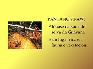 PANTANO KRAW:
Atópase na zona de
 selva da Guayana.
É un lugar rico en
 fauna e vexetación.
 