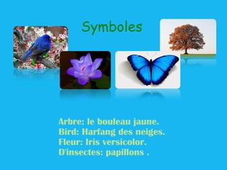 Symboles




Arbre: le bouleau jaune.
Bird: Harfang des neiges.
Fleur: Iris versicolor.
D'insectes: papillons .
 