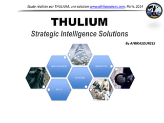 THULIUM
Strategic Intelligence Solutions
VEILLE
SOURCING
DEVELOPPEMENT PROSPECTIVE
By AFRIKASOURCES
Etude réalisée par THULIUM, une solution www.afrikasources.com, Paris, 2014
 