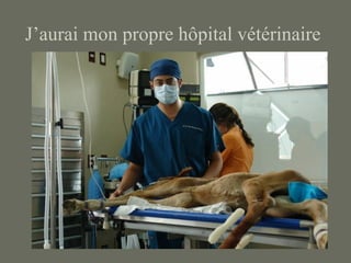 J’aurai mon propre hôpital vétérinaire
 