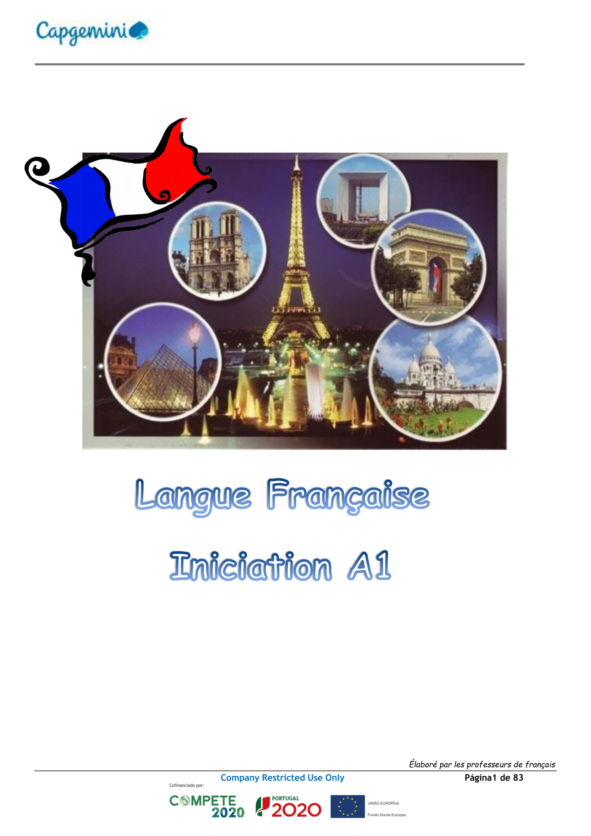 Basic_French Manual francês - manual A1-2023.pdf