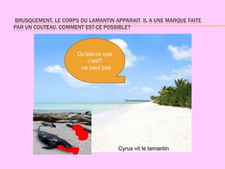 BRUSQUEMENT, LE CORPS DU LAMANTIN APPARAIT. IL A UNE MARQUE FAITE
PAR UN COUTEAU. COMMENT EST-CE POSSIBLE?



                      Qu'est-ce que
                         c'est?
                       ne peut pas




                                      Cyrus vit le lamantin
 