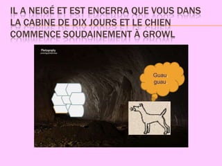 IL A NEIGÉ ET EST ENCERRA QUE VOUS DANS
LA CABINE DE DIX JOURS ET LE CHIEN
COMMENCE SOUDAINEMENT À GROWL



                             Guau,
                             guau.
 