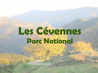 Les Cévennes
Parc National
 