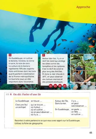 Approche
En Guadeloupe, on cultive
la banane, l'ananas, la canne
à sucre, la noix de coco.
La culture de la banane
représente 75% des exporta­
tions antillaises dont les trois
quarts partent à destination
de la France métropolitaine.
Le tourisme joue un rôle
important dans l'économie.
Autour des îles, il y a un
récif de corail qui protège
les côtes contre les
tempêtes et les cyclones.
C’est le récif de corail le
plus long des Antilles.
Et dans la mer chaude à
28°C, on peut observer
des tortues marines et
des poissons exotiques.
®® 6 On dit: Parler d’une île
La Guadeloupe se trouve ... Autour de Hie, il y a ...
Dans la mer, on peut
C’est une île/
un archipel
qui se trouve ...
ou il pleut...
voir/observer...
ou on cultive ... En Guadeloupe, on parle ...
ou on peut observer... on fête ...
ou il y a ... on cultive ...
Racontez à votre partenaire ce que vous avez appris sur la Guadeloupe.
Utilisez la fiche de géographie.
65
 