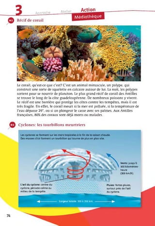 Approche Ateli er_____ Action
Récif de corail
Médiathèque
Le corail, qu’est-ce que c’est? C’est un animal minuscule, un polype, qui
construit une sorte de squelette en calcaire autour de lui. La nuit, les polypes
sortent pour se nourrir de plancton. Le plus grand récif de corail des Antilles
se trouve le long de la côte guadeloupéenne. De nombreux poissons y vivent.
Le récif est une barrière qui protège les côtes contre les tempêtes, mais il est
très fragile. En effet, le corail meurt si la mer est polluée, si la température de
l’eau dépasse 29°, ou si un plongeur le casse avec ses palmes. Aux Antilles
françaises, 80% des coraux sont déjà morts ou malades.
Cyclones: les tourbillons meurtriers
Les cyclones se forment sur les mers tropicales à la fin de la saison chaude.
Des masses d’air forment un tourbillon qui tourne de plus en plus vite.
Largeur totale: 100 à 200 km.
Vents: jusqu’à
300 kilomètres-
heure
(300 km/h).
Pluies: fortes pluies,
surtout près de l’œil
du cyclone.
L'œil du cyclone: centre du
cyclone, période calme au
milieu de la tempête.
 