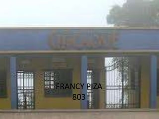 FRANCY PIZA803  