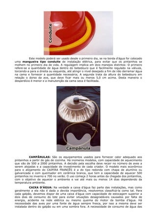 Este modelo poderá ser usado desde o primeiro dia, se na borda d'água for colocado
uma mangueira tipo conduite de instalação elétrica, para evitar que os pintainhos se
molhem no primeiro dia de vida. A regulagem implica em dois manejos distintos: O primeiro
refere-se a quantidade de água dentro do bebedouro que é facilmente regulado na válvula,
torcendo-a para a direita ou esquerda, até atingir o nível desejado a fim de não derramar água
na cama e fornecer a quantidade necessária; A segunda trata da altura do bebedouro em
relação o dorso da ave, que deve ficar mais ou menos 5,0 cm acima. Desta maneira o
desperdício é menor e a manutenção da cama seca é facilitada.
CAMPÂNULAS: São os equipamentos usados para fornecer calor adequado aos
pintainhos a partir de gás de cozinha. Há inúmeros modelos, com capacidade de aquecimento
que vão de 500 a 2000 pintainhos. A decisão pela escolha deve recair no número de aves a
serem alojadas e a capacidade de investimento de cada criador. O modelo mais econômico
para o alojamento do CAIPIRA FRANCÊS é a do tipo redonda com chapa de alumínio ou
galvanizada e com queimador em cerâmica branca, que tem a capacidade de aquecer 500
pintainhos no inverno e 700 no verão. O uso começa 2 horas antes da chegada dos pintainhos,
com o objetivo de aquecer o ambiente e vai até mais ou menos 14 dias dependendo da
temperatura ambiente.
CAIXA D'ÁGUA: Na verdade a caixa d'água faz parte das instalações, mas como
geralmente a ela não é dada a devida importância, resolvemos classificá-la como tal. Para
cada galpão, devemos dispor de uma caixa d'água com capacidade de estocagem superior a
dois dias de consumo do lote para evitar situações desagradáveis causados por falta de
energia, acidente na rede elétrica ou mesmo queima do motor da bomba d'água. Há
necessidade das aves por uma fonte de água sempre fresca, por isso a mesma deve ser
instalada dentro do galpão ou em uma sombra fora. A necessidade de consumo de água das
 