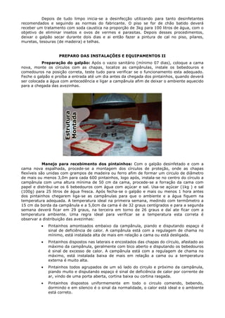 Depois de tudo limpo inicia-se a desinfecção utilizando para tanto desinfetantes
recomendados e seguindo as normas do fabricante. O piso se for de chão batido deverá
receber um tratamento com soda caustica na proporção de 3kg para 100 litros de água, com o
objetivo de eliminar insetos e ovos de vermes e parasitas. Depois desses procedimentos,
deixar o galpão secar durante dois dias e ai então fazer a pintura de cal no piso, pilares,
muretas, tesouras (de madeira) e telhas.
PREPARO DAS INSTALAÇÕES E EQUIPAMENTOS II
Preparação do galpão: Após o vazio sanitário (mínimo 07 dias), coloque a cama
nova, monte os círculos com as chapas, localize as campânulas, instale os bebedouros e
comedouros na posição correta, teste tudo para verificar se o funcionamento esta adequado.
Feche o galpão e proíba a entrada até um dia antes da chegada dos pintainhos, quando deverá
ser colocada a água com antecedência e ligar a campânula afim de deixar o ambiente aquecido
para a chegada das avezinhas.
Manejo para recebimento dos pintainhos: Com o galpão desinfetado e com a
cama nova espalhada, procede-se a montagem dos círculos de proteção, onde as chapas
flexíveis são unidas com grampos de madeira ou ferro afim de formar um circulo de diâmetro
de mais ou menos 3,0m para cada 600 pintainhos, logo após, instala-se no centro do círculo a
campânula com uma altura mínima de 50 cm da cama, procede-se a forração da cama com
papel e distribui-se os 6 bebedouros com água com açúcar e sal. Usa-se açúcar (1kg ) e sal
(100g) para 25 litros de água fresca. Após fecha-se o galpão e mais ou menos 1 hora antes
dos pintainhos chegarem liga-se as campânulas para que o ambiente e a água fiquem na
temperatura adequada. A temperatura ideal na primeira semana, medindo com termômetro a
15 cm da borda da campânula e a 5,0cm da cama é de 32 graus centígrados e para a segunda
semana deverá ficar em 29 graus, na terceira em torno de 26 graus e daí ate ficar com a
temperatura ambiente. Uma regra ideal para verificar se a temperatura esta correta é
observar a distribuição das avezinhas:
• Pintainhos amontoados embaixo da campânula, piando e disputando espaço é
sinal de deficiência de calor. A campânula está com a regulagem de chama no
mínimo, está instalada alta de mais em relação a cama ou está desligada.
• Pintainhos dispostos nas laterais e encostados das chapas do círculo, afastado ao
máximo da campânula, geralmente com bico aberto e disputando os bebedouros
é sinal de excesso de calor. A campânula está com a regulagem de chama no
máximo, está instalada baixa de mais em relação a cama ou a temperatura
externa é muito alta.
• Pintainhos todos agrupados de um só lado do circulo e próximo da campânula,
piando muito e disputando espaço é sinal de deficiência de calor por corrente de
ar, vindo de uma porta aberta, cortina baixa ou cortina rasgada.
• Pintainhos dispostos uniformemente em todo o circulo comendo, bebendo,
dormindo e em silencio é o sinal da normalidade, o calor está ideal e o ambiente
está correto.
 