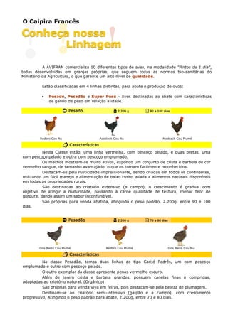 A AVIFRAN comercializa 10 diferentes tipos de aves, na modalidade "Pintos de 1 dia",
todas desenvolvidas em granjas próprias, que seguem todas as normas bio-sanitárias do
Ministério da Agricultura, o que garante um alto nível de qualidade.
Estão classificadas em 4 linhas distintas, para abate e produção de ovos:
• Pesado, Pesadão e Super Peso - Aves destinadas ao abate com características
de ganho de peso em relação a idade.
Redbro Cou Nu Acoblack Cou Nu Acoblack Cou Plumé
Nesta Classe estão, uma linha vermelha, com pescoço pelado, e duas pretas, uma
com pescoço pelado e outra com pescoço emplumado.
Os machos mostram-se muito ativos, expondo um conjunto de crista e barbela de cor
vermelho sangue, de tamanho avantajado, o que os tornam facilmente reconhecidos.
Destacam-se pela rusticidade impressionante, sendo criadas em todos os continentes,
utilizando um fácil manejo e alimentação de baixo custo, aliada a alimentos naturais disponíveis
em todas as propriedades rurais.
São destinadas ao criatório extensivo (a campo), o crescimento é gradual com
objetivo de atingir a maturidade, passando à carne qualidade de textura, menor teor de
gordura, dando assim um sabor inconfundível.
São próprias para venda abatida, atingindo o peso padrão, 2.200g, entre 90 e 100
dias.
Gris Barré Cou Plumé Redbro Cou Plumé Gris Barré Cou Nu
Na classe Pesadão, temos duas linhas do tipo Carijó Pedrês, um com pescoço
emplumado e outro com pescoço pelado.
O outro exemplar da classe apresenta penas vermelho escuro.
Além de terem crista e barbela grandes, possuem canelas finas e compridas,
adaptadas ao criatório natural. (Orgânico)
São próprias para venda viva em feiras, pois destacam-se pela beleza de plumagem.
Destinam-se ao criatório semi-intensivo (galpão e a campo), com crescimento
progressivo, Atingindo o peso padrão para abate, 2.200g, entre 70 e 80 dias.
 