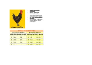 • Caipira Francês preto
esverdeado.
• Pescoço emplumado.
• Bicos e patas preto.
• Macho usado na avicultura
orgânica para ovos galados.
• Ave criada no sistema semi-
confinado.
• Tem excelente aceitação no
mercado de aves vivas e
ornamentais.
PADRÃO DE CRESCIMENTO
Ração Comercial 3050 KCal Ração Caipira 2800 KCal
Idade Peso Kg Ração / Kg Carne Idade Peso Kg Ração / Kg Carne
28 609 1.56 28 529 1.72 - 1.77
42 1083 1.86 42 950 2.04 - 2.10
56 1559 2.14 56 1370 2.36 - 2.44
70 2035 2.43 70 1790 2.68 - 2.76
77 2273 2.57 77 1997 2.84 - 2.93
84 - - 84 2200 3.00 - 3.10
 