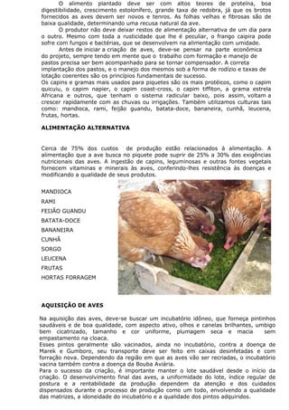 O alimento plantado deve ser com altos teores de proteína, boa
digestibilidade, crescimento estolonífero, grande taxa de redobra, já que os brotos
fornecidos as aves devem ser novos e tenros. As folhas velhas e fibrosas são de
baixa qualidade, determinando uma recusa natural da ave.
O produtor não deve deixar restos de alimentação alternativa de um dia para
o outro. Mesmo com toda a rusticidade que lhe é peculiar, o frango caipira pode
sofre com fungos e bactérias, que se desenvolvem na alimentação com umidade.
Antes de iniciar a criação de aves, deve-se pensar na parte econômica
do projeto, sempre tendo em mente que o trabalho com formação e manejo de
pastos precisa ser bem acompanhado para se tornar compensador. A correta
implantação dos pastos, e o manejo dos mesmos sob a forma de rodízio e taxas de
lotação coerentes são os princípios fundamentais de sucesso.
Os capins e gramas mais usados para piquetes são os mais protéicos, como o capim
quicuiu, o capim napier, o capim coast-cross, o capim tiffiton, a grama estrela
Africana e outros, que tenham o sistema radicular baixo, pois assim, voltam a
crescer rapidamente com as chuvas ou irrigações. Também utilizamos culturas tais
como: mandioca, rami, feijão guandu, batata-doce, bananeira, cunhã, leucena,
frutas, hortas.
ALIMENTAÇÃO ALTERNATIVA
Cerca de 75% dos custos de produção estão relacionados à alimentação. A
alimentação que a ave busca no piquete pode suprir de 25% a 30% das exigências
nutricionais das aves. A ingestão de capins, leguminosas e outras fontes vegetais
fornecem vitaminas e minerais às aves, conferindo-lhes resistência às doenças e
modificando a qualidade de seus produtos.
MANDIOCA
RAMI
FEIJÃO GUANDU
BATATA-DOCE
BANANEIRA
CUNHÃ
SORGO
LEUCENA
FRUTAS
HORTAS FORRAGEM
AQUISIÇÃO DE AVES
Na aquisição das aves, deve-se buscar um incubatório idôneo, que forneça pintinhos
saudáveis e de boa qualidade, com aspecto ativo, olhos e canelas brilhantes, umbigo
bem cicatrizado, tamanho e cor uniforme, plumagem seca e macia sem
empastamento na cloaca.
Esses pintos geralmente são vacinados, ainda no incubatório, contra a doença de
Marek e Gumboro, seu transporte deve ser feito em caixas desinfetadas e com
forração nova. Dependendo da região em que as aves vão ser recriadas, o incubatório
vacina também contra a doença da Bouba Aviária.
Para o sucesso da criação, é importante manter o lote saudável desde o início da
criação. O desenvolvimento final das aves, a uniformidade do lote, índice regular de
postura e a rentabilidade da produção dependem da atenção e dos cuidados
dispensados durante o processo de produção como um todo, envolvendo a qualidade
das matrizes, a idoneidade do incubatório e a qualidade dos pintos adquiridos.
 