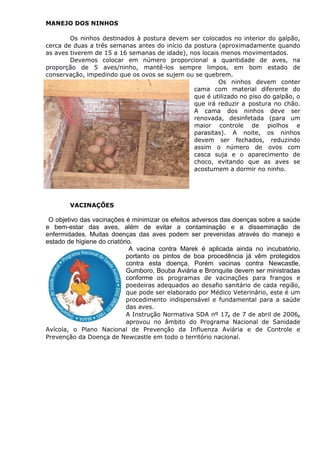 MANEJO DOS NINHOS
Os ninhos destinados à postura devem ser colocados no interior do galpão,
cerca de duas a três semanas antes do início da postura (aproximadamente quando
as aves tiverem de 15 a 16 semanas de idade), nos locais menos movimentados.
Devemos colocar em número proporcional a quantidade de aves, na
proporção de 5 aves/ninho, mantê-los sempre limpos, em bom estado de
conservação, impedindo que os ovos se sujem ou se quebrem.
Os ninhos devem conter
cama com material diferente do
que é utilizado no piso do galpão, o
que irá reduzir a postura no chão.
A cama dos ninhos deve ser
renovada, desinfetada (para um
maior controle de piolhos e
parasitas). A noite, os ninhos
devem ser fechados, reduzindo
assim o número de ovos com
casca suja e o aparecimento de
choco, evitando que as aves se
acostumem a dormir no ninho.
VACINAÇÕES
O objetivo das vacinações é minimizar os efeitos adversos das doenças sobre a saúde
e bem-estar das aves, além de evitar a contaminação e a disseminação de
enfermidades. Muitas doenças das aves podem ser prevenidas através do manejo e
estado de higiene do criatório.
A vacina contra Marek é aplicada ainda no incubatório,
portanto os pintos de boa procedência já vêm protegidos
contra esta doença. Porém vacinas contra Newcastle,
Gumboro, Bouba Aviária e Bronquite devem ser ministradas
conforme os programas de vacinações para frangos e
poedeiras adequados ao desafio sanitário de cada região,
que pode ser elaborado por Médico Veterinário, este é um
procedimento indispensável e fundamental para a saúde
das aves.
A Instrução Normativa SDA nº 17, de 7 de abril de 2006,
aprovou no âmbito do Programa Nacional de Sanidade
Avícola, o Plano Nacional de Prevenção da Influenza Aviária e de Controle e
Prevenção da Doença de Newcastle em todo o território nacional.
 
