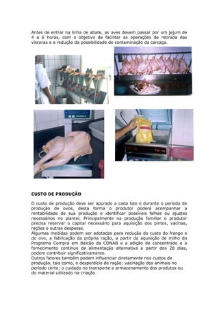 Antes de entrar na linha de abate, as aves devem passar por um jejum de
4 a 6 horas, com o objetivo de facilitar as operações de retirada das
vísceras e a redução da possibilidade de contaminação da carcaça.
CUSTO DE PRODUÇÃO
O custo de produção deve ser apurado a cada lote e durante o período de
produção de ovos, desta forma o produtor poderá acompanhar a
rentabilidade de sua produção e identificar possíveis falhas ou ajustes
necessários no plantel. Principalmente na produção familiar o produtor
precisa reservar o capital necessário para aquisição dos pintos, vacinas,
rações e outras despesas.
Algumas medidas podem ser adotadas para redução do custo do frango e
do ovo, a fabricação da própria ração, a partir da aquisição de milho do
Programa Compra em Balcão da CONAB e a adição de concentrado e o
fornecimento contínuo de alimentação alternativa a partir dos 28 dias,
podem contribuir significativamente.
Outros fatores também podem influenciar diretamente nos custos de
produção, tais como, o desperdício de ração; vacinação dos animais no
período certo; o cuidado no transporte e armazenamento dos produtos ou
do material utilizado na criação.
 