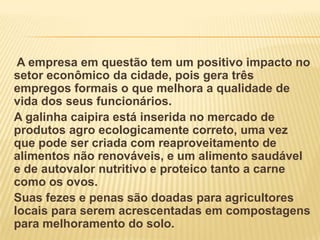 A empresa em questão tem um positivo impacto no
setor econômico da cidade, pois gera três
empregos formais o que melhora a qualidade de
vida dos seus funcionários.
A galinha caipira está inserida no mercado de
produtos agro ecologicamente correto, uma vez
que pode ser criada com reaproveitamento de
alimentos não renováveis, e um alimento saudável
e de autovalor nutritivo e proteico tanto a carne
como os ovos.
Suas fezes e penas são doadas para agricultores
locais para serem acrescentadas em compostagens
para melhoramento do solo.

 