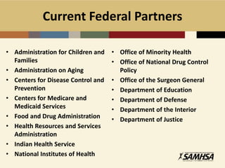 Integrated care: new thinking—recovery, wellness, role of peers, response to whole health needs