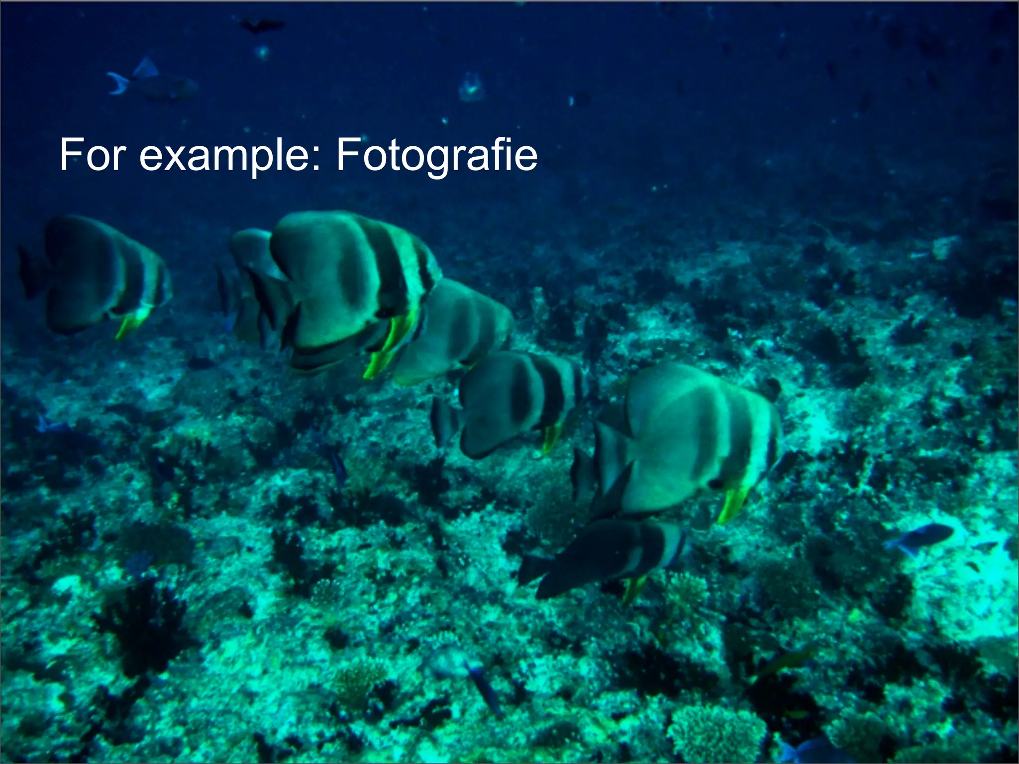 Frank Mantek Google G Data