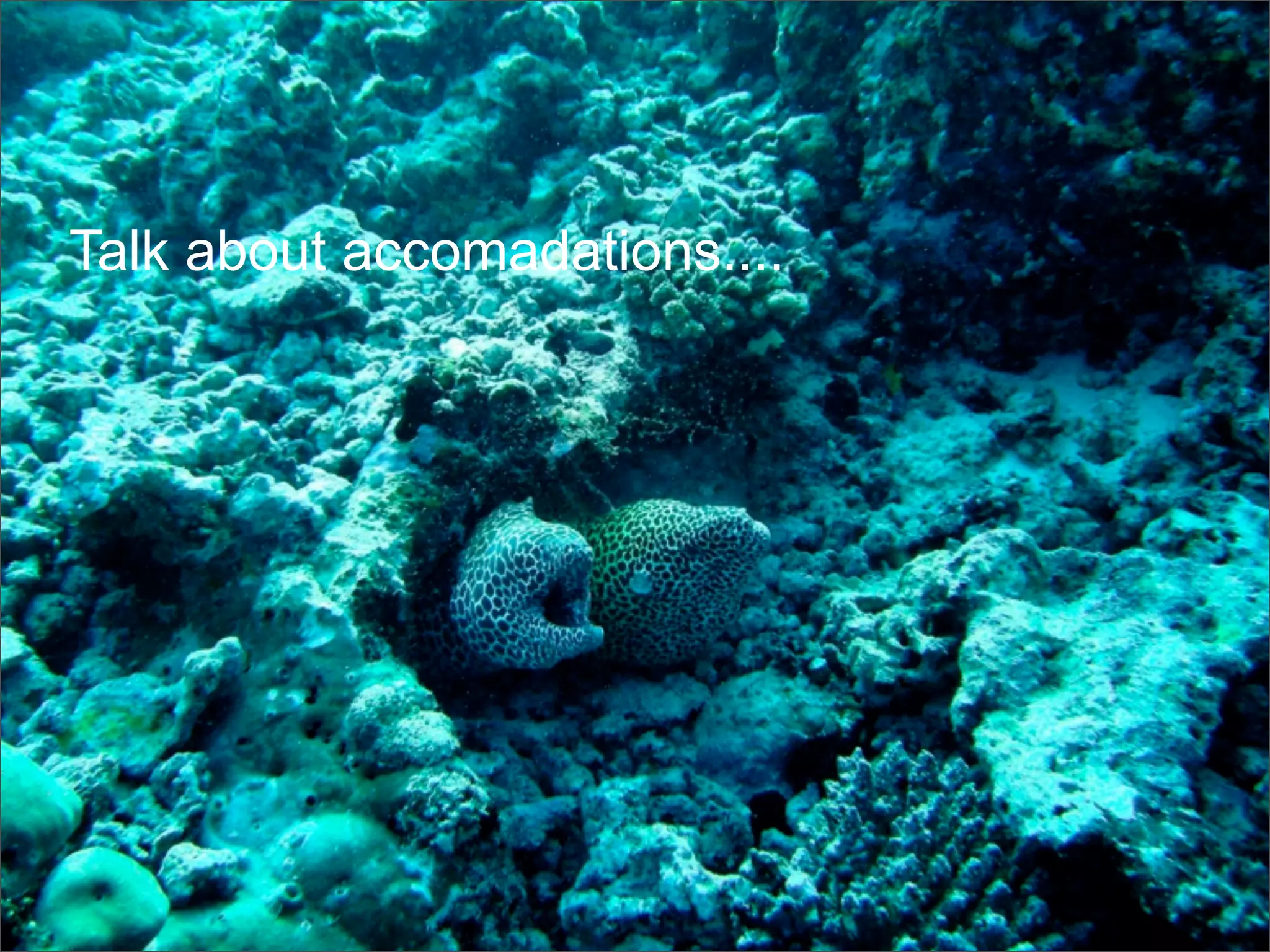 Frank Mantek Google G Data