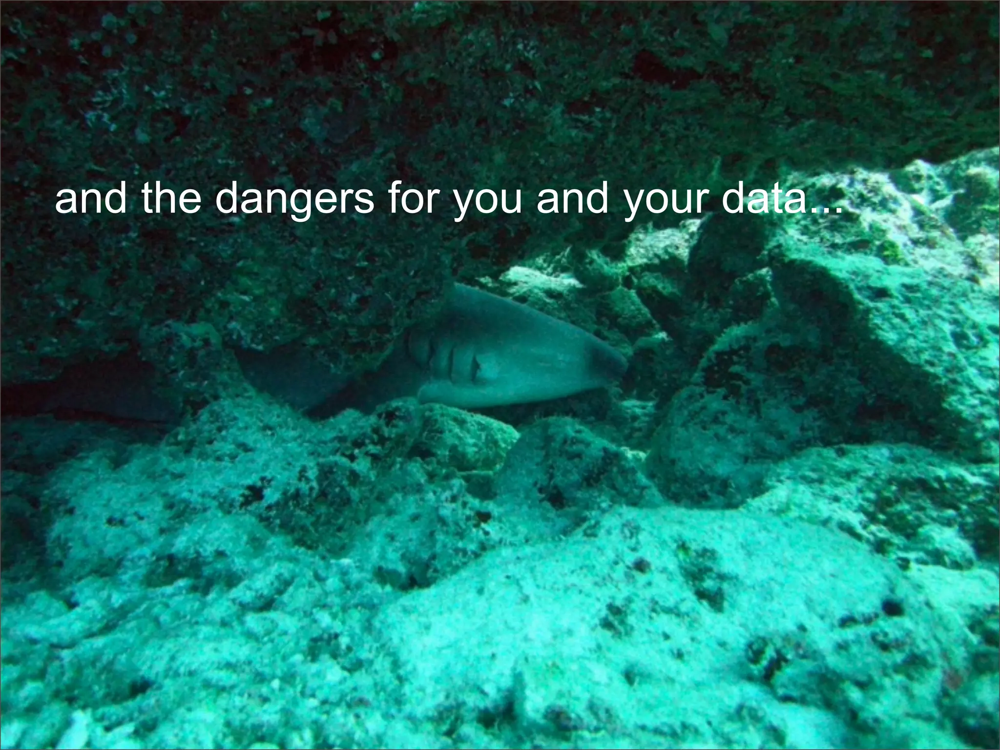 Frank Mantek Google G Data