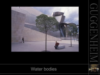 Water bodies 