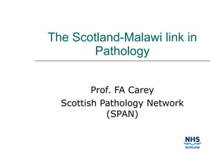 The Scotland-Malawi link in Pathology Prof. FA Carey Scottish Pathology Network (SPAN) 