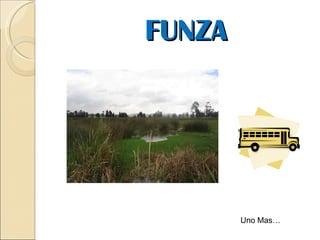 FUNZA Uno Mas… 