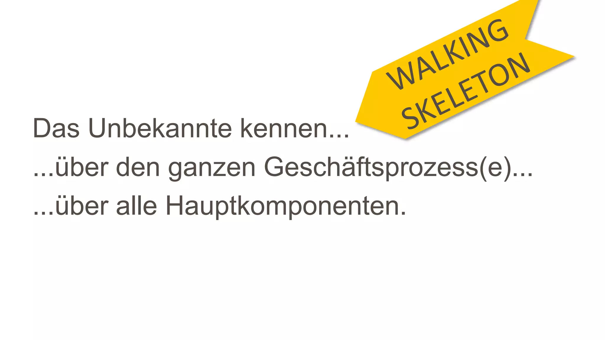 Das Unbekannte kennen...
...über den ganzen Geschäftsprozess(e)...
...über alle Hauptkomponenten.
 