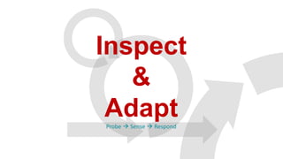 Inspect
&
AdaptProbe  Sense  Respond
 