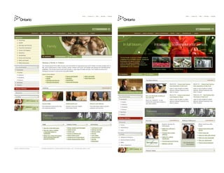 Frank Electronic Brochure