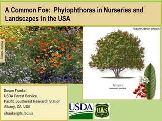 A Common Foe: Phytophthoras in Nurseries and
Landscapes in the USA
Susan Frankel,
USDA Forest Service,
Pacific Southwest Research Station
Albany, CA, USA
sfrankel@fs.fed.us
Robert O’Brien artwork
Pacific.Hort.org
 